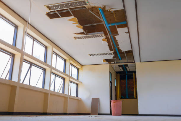 Best Professional water damage repair  in Alliae, NC