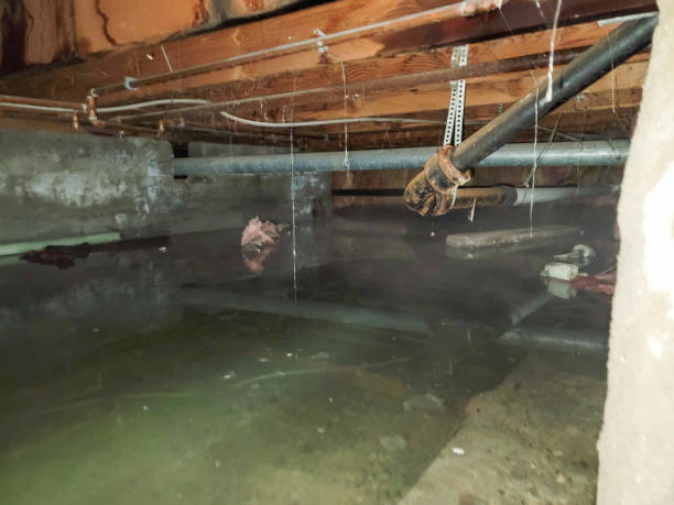 Sewage cleanup and water damage restoration in Alliance, NC