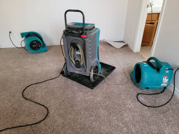 Water damage restoration process in Alliance, NC
