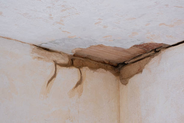 Best Water damage restoration process  in Alliae, NC