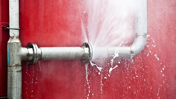 Best Carpet water damage restoration  in Alliae, NC